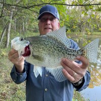 Neal Borgmeyer (@channel_neal) 's Twitter Profile