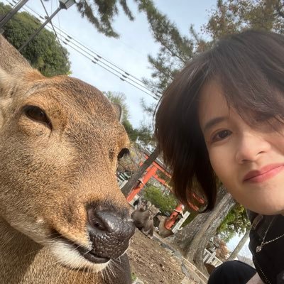 bloodbubble's profile picture. pop culture nerd. serial napper.