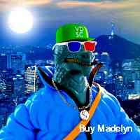 buymadelynn11's profile picture. Promoting the defi revolution for a more inclusive financial world
