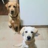 subbu_vasista's profile picture. Bharathiya. Banglorean. kannadiga. Work for Automotive & happy not to be a techie. Traveller, Pets,Charity, wild life & forests. I enjoy my life responsibly.