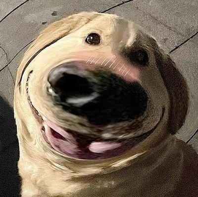 z1berr's profile picture. 