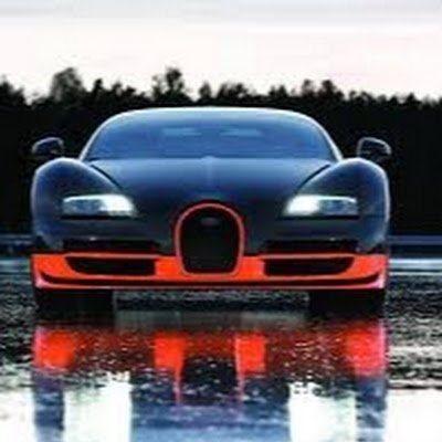 NoeZephyrr's profile picture. 