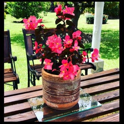 Spaezs1's profile picture. 