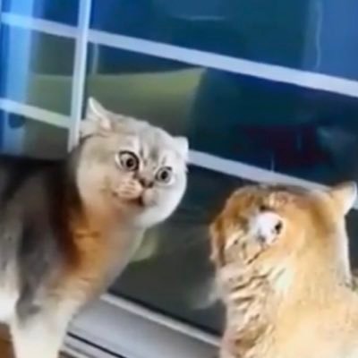 massivemil's profile picture. 🔞 // He/him, 21 for real a gamer