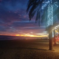 Ebo Calafell 🇵🇸 (@ebo_calafell) 's Twitter Profile