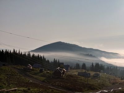 1993Topchik's profile picture. 