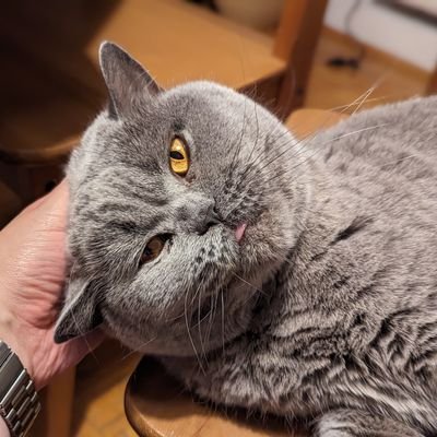 sarkazm_ironia's profile picture. Tak sobie cynicznie żyję, na złość innym

Praca to plebejski sposób spędzania wolnego czasu