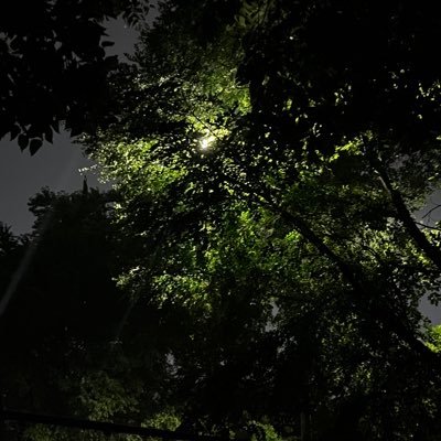 Taz93195585's profile picture. 