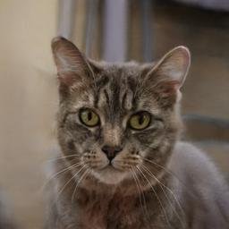 viva_crist7044's profile picture. 