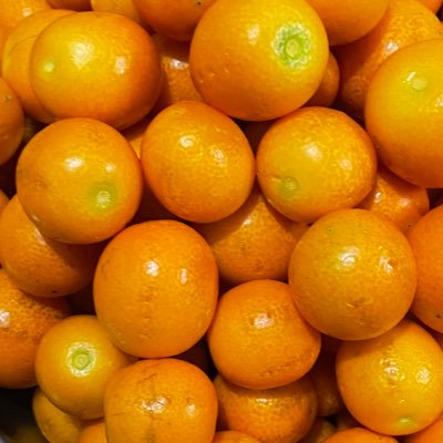 takayanagi_ra's profile picture. 宅建を取らなければならなくなった