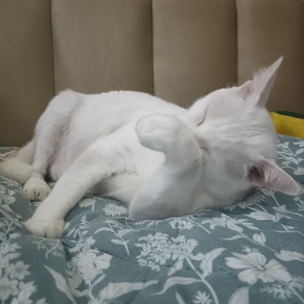 wfPN550cc3EHrjk's profile picture. 