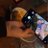lilygreiss's profile image