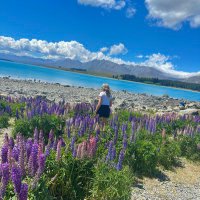 Lynn Gregg (@lgregg91) 's Twitter Profile