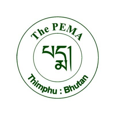 the_pema Profile Picture