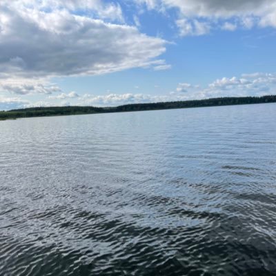 Nikileopard's profile picture.