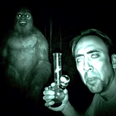 WhatsUpElonMyG's profile picture. 