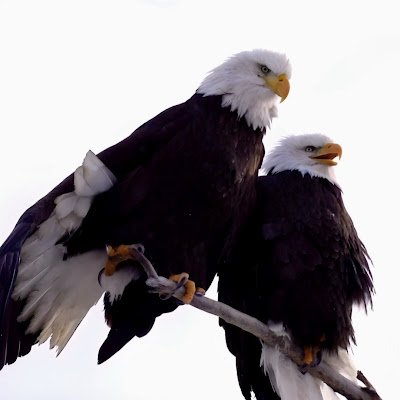 JDD965503172585's profile picture. 