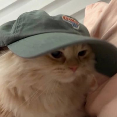 rafsimons197's profile picture. go smth