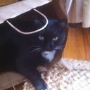 Tom Welsh - @tjmoose - Twitter