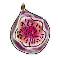 The Fig Tree - SUBS CLOSED (@figtreezine) 's Twitter Profile