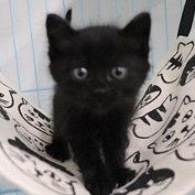 みかりん (@souka0919) Twitter profile photo