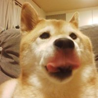 おらとく印房 (@oratok33680) 's Twitter Profile