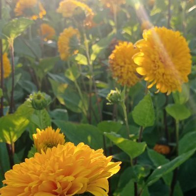 AbdedayemW's profile picture. 