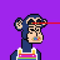 Fundz Ape X ๐ (@fundzapexrpl) 's Twitter Profile