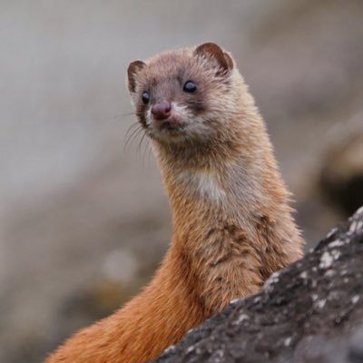 Q_itachi_5's profile picture. クイズ｜謎解き｜Geoguessr