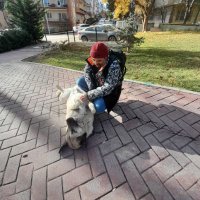 S. Erdem Türközü (@serdemturkozu) Twitter profile photo