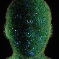 Hederadev (@hederadev) 's Twitter Profile