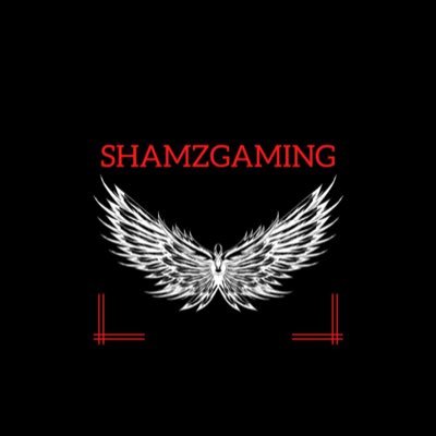 Shamzgaming210's profile picture. 20 TikTok:Shamzgaming210