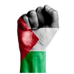 Viva Palestina Libre 🇵🇸✊🏼⚔️