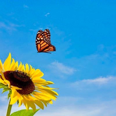 cmgvnaa2004's profile picture. 