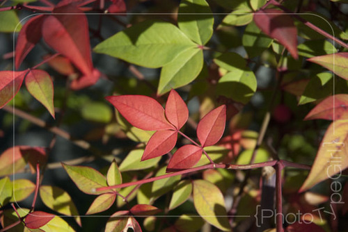 PhotoTypeGirl's profile picture. I ♡ family, art & design, typography, photography, learning, & so much more.