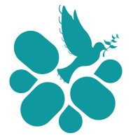 Cyprus Peace & Dialogue Center(@CPDCCYPRUS) 's Twitter Profile Photo