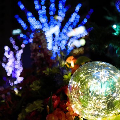 Yutaka022545631's profile picture. 写真撮ってる人  ↓Instagramアカウント