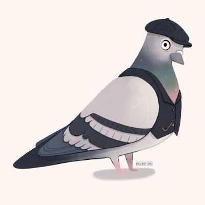 A retired carrier pigeon, for 45yrs supporting highly vulnerable people - but now focused on democratic reform and shouting at the cloud.