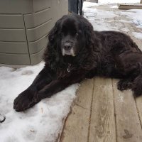 Kevin Korchinski (@kevink61) 's Twitter Profile Photo