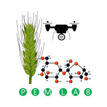 Plant Ecophysiology & Metabolism (PEM) lab. @greenit_bio4sus Crops, metabolism, phenotyping, abiotic stress. Assoc. Editor in Planta. 🇪🇸▶️🇩🇪▶️🇵🇹