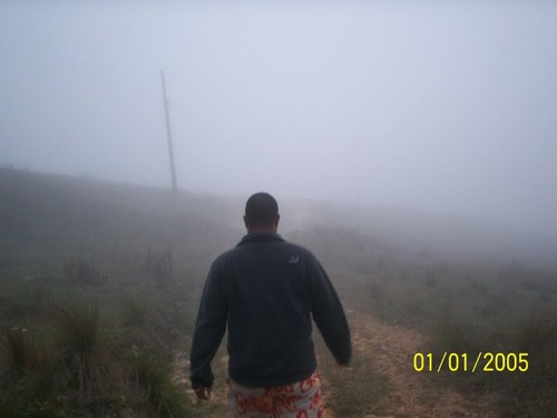 REISIUVES's profile picture. 