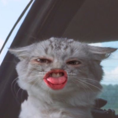 sr_ilie's profile picture. Mente experimental guiada por frecuencias sonoras.