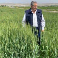 AHMET SARAÇ (@ahmtsrc63) 's Twitter Profile