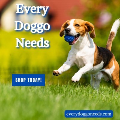 Where canine dreams come to life with tail-wagging essentials curated for boundless joy and endless fetch-worthy moments.