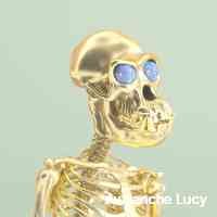 lucyavalaachen's profile picture. 