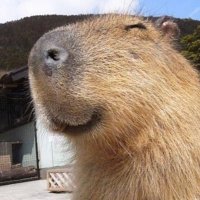 phichayutttt (@phichayutttt) 's Twitter Profile
