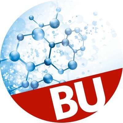 BUnano: Where nanomaterials intersect medicine and energy through collaborative interdisciplinary research