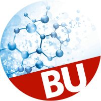 Boston University Nanotechnology Innovation Center(@BunanoCenter) 's Twitter Profile Photo
