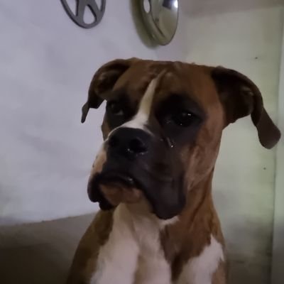 nanoBaracus's profile picture. 