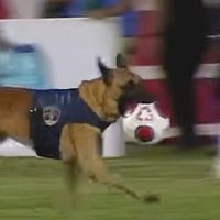 Futbol na peryferiach (@futbolnaperyf) 's Twitter Profile